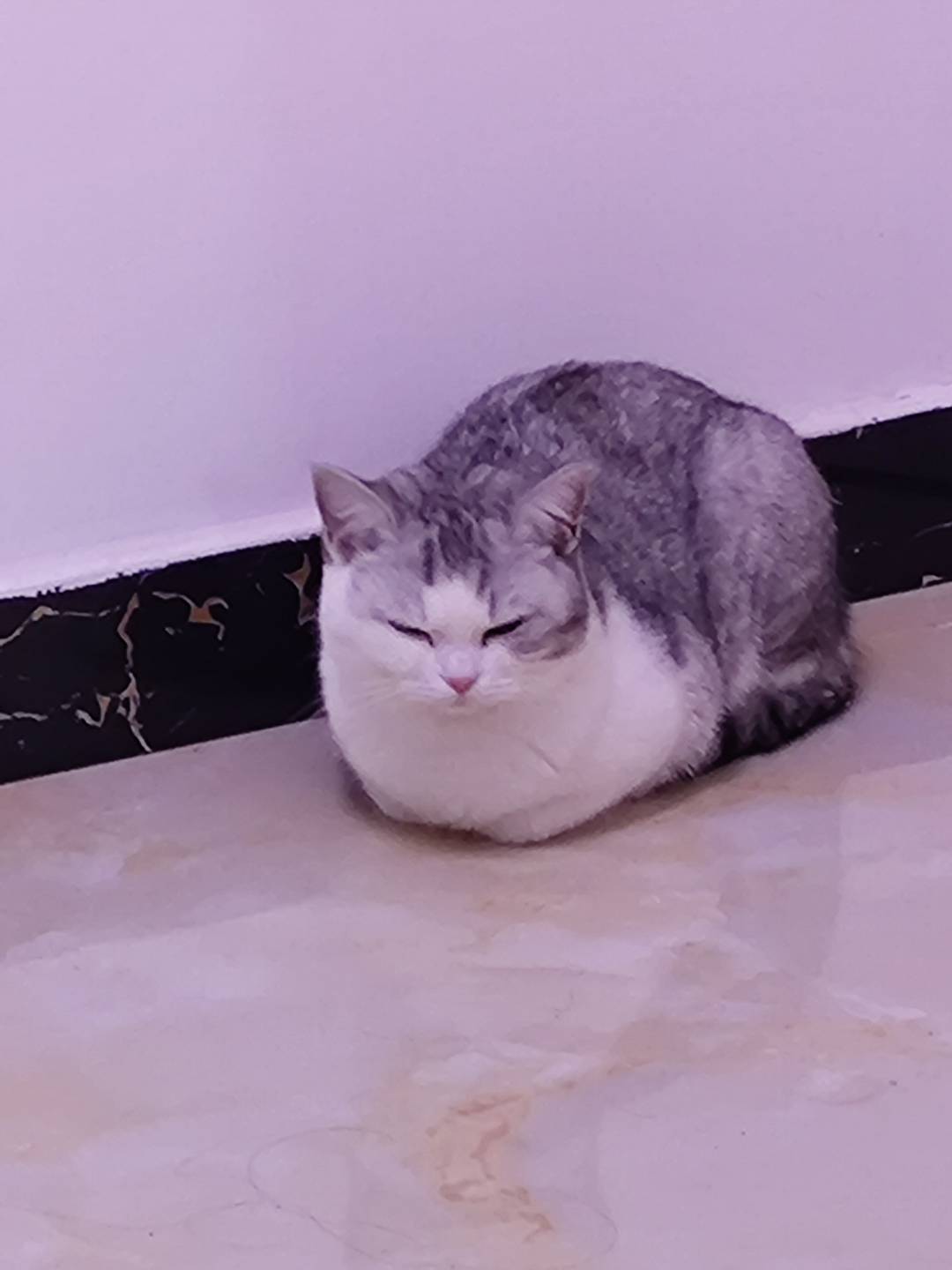 马路听众头像