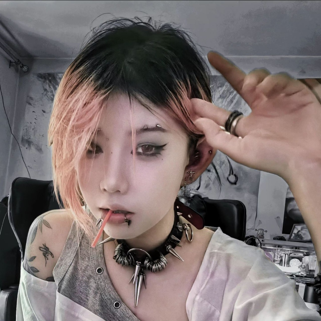 狗掌柜头像